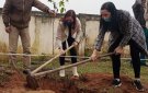 Minh Tiến tổ chức tết trồng cây Xuân Nhâm Dần 2022